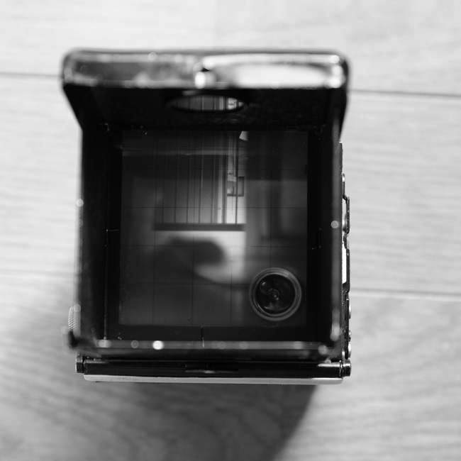 DSCF1574.jpg