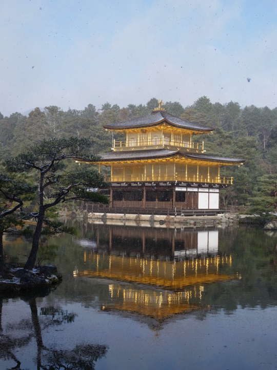 R0012480.jpg