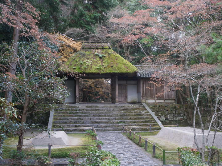R0012499.jpg