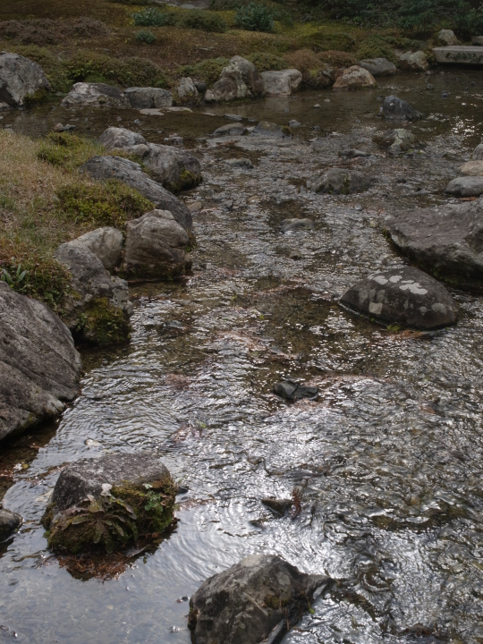 R0012550.jpg